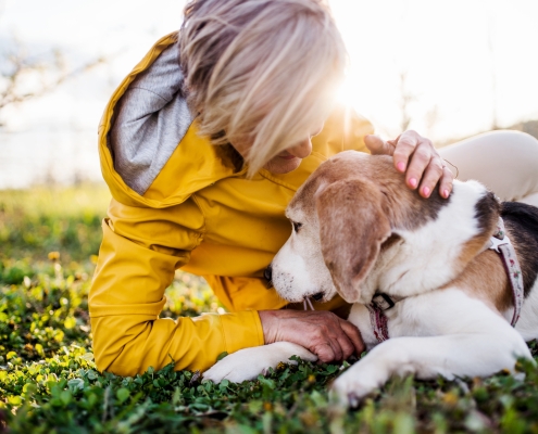 animal services
