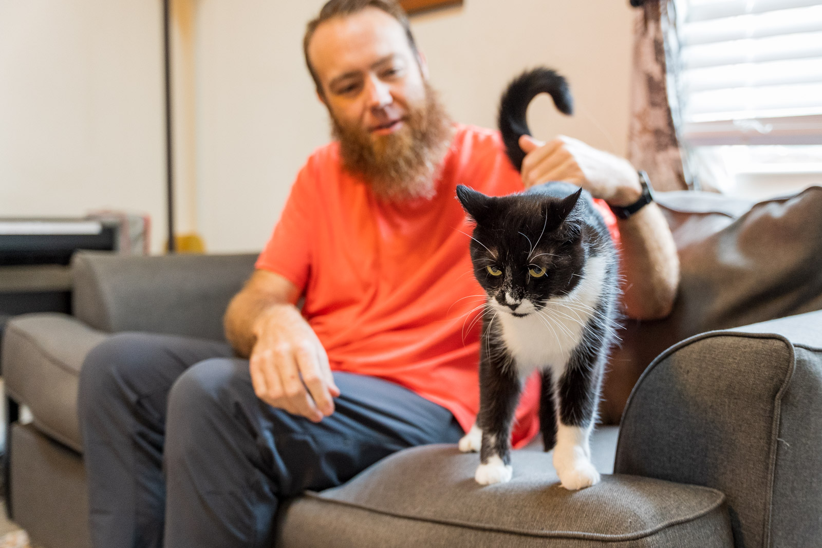 microchipping your pet