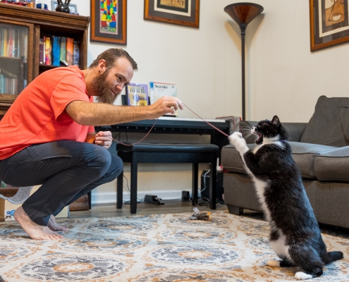 microchipping harrisonburg